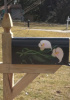 Calla Lilies mailbox